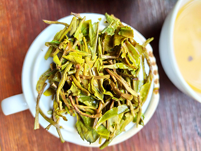 Tea leaves after infusion.